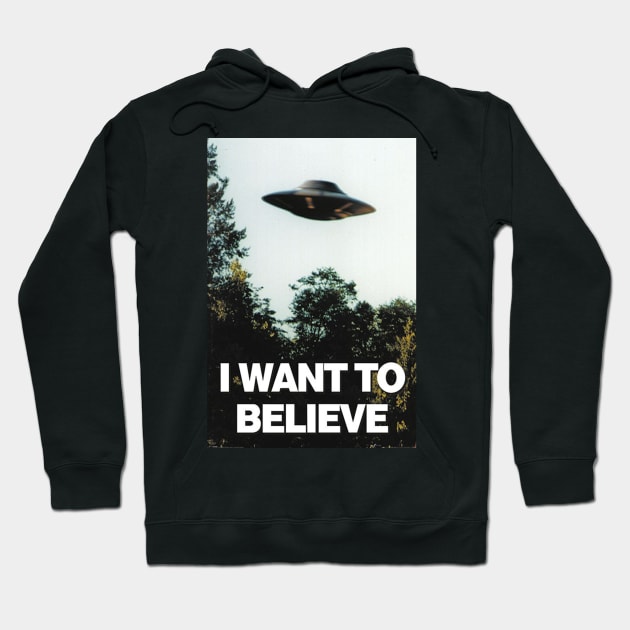 I Want To Believe Hoodie by discpeplum